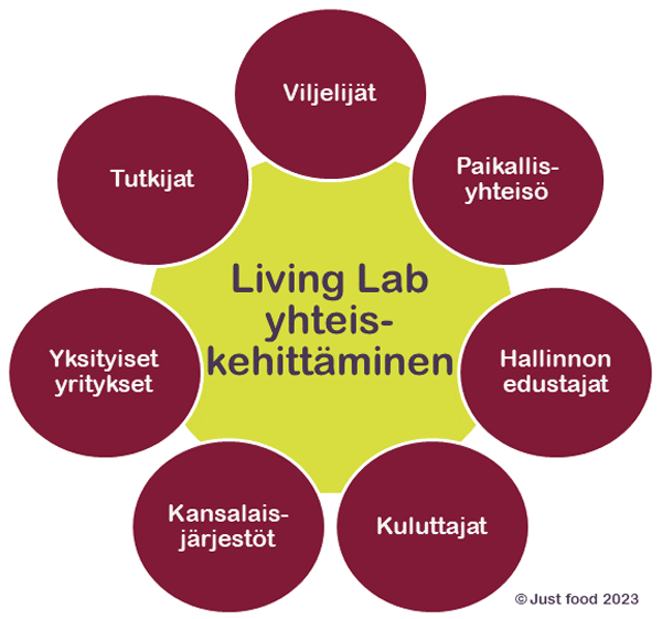 Living lab yhteiskehittäminen